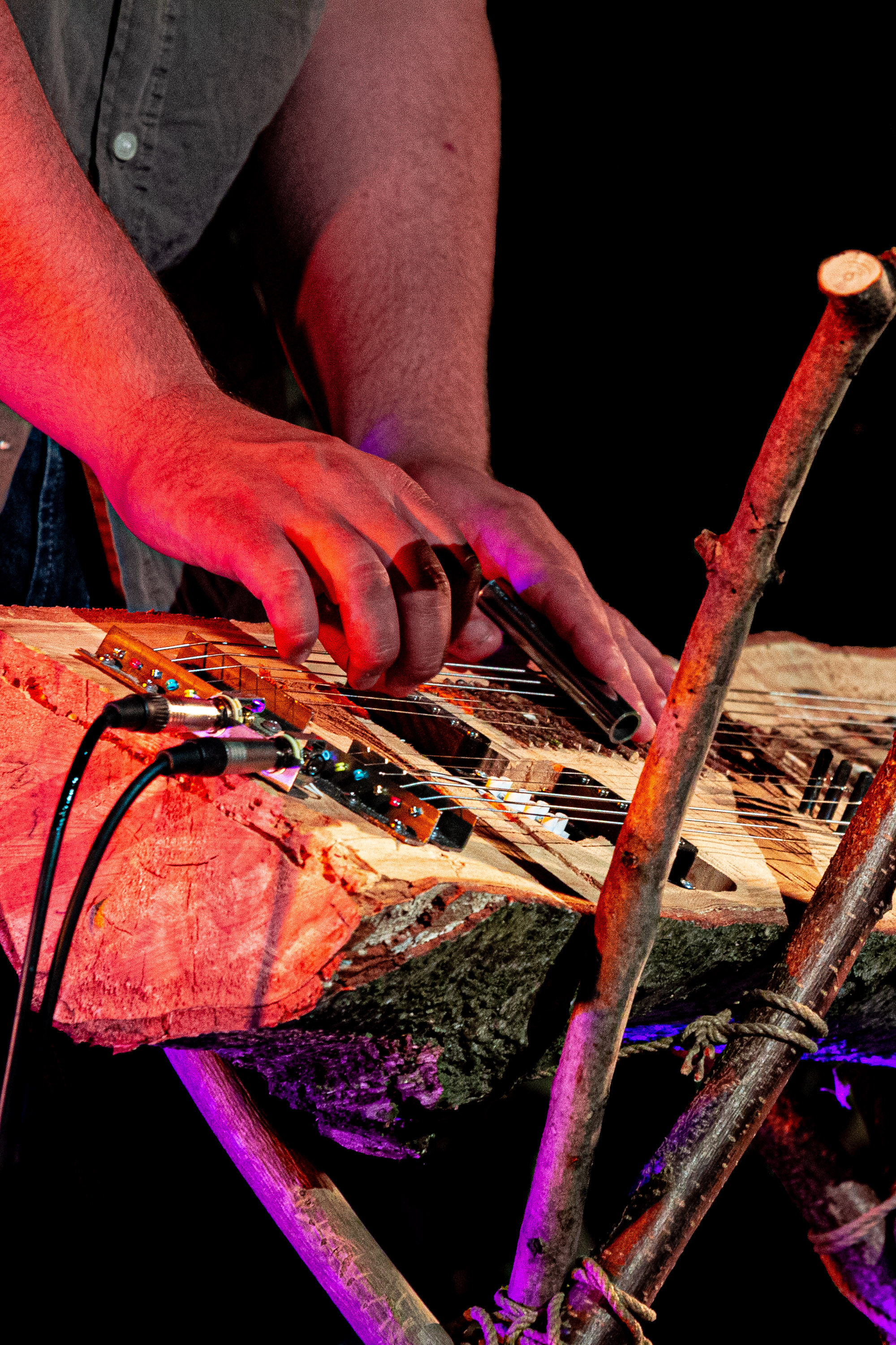 Forêt - Festival Chorus